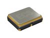 ECS INC INTERNATIONAL ECS-2520SMVQ-500-DS-TR